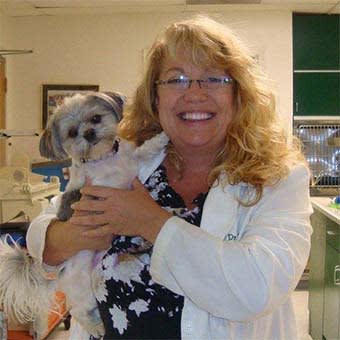 Dr. Candace Hadden, Fort Oglethorpe Veterinarian